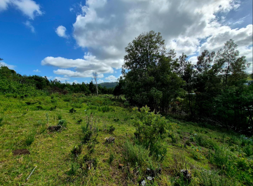 0 Bedroom Property for Sale in Knysna Heights Western Cape